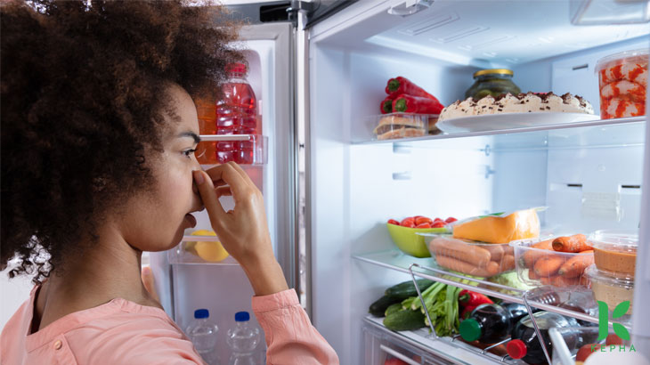 Tủ lạnh quá cũ, hỏng sẽ gây mùi khó chịu cho thức ăn nhà bạn